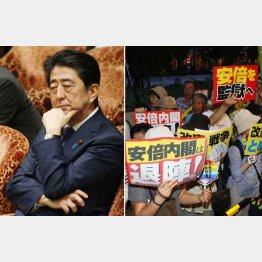 世論は正直だ（Ｃ）日刊ゲンダイ