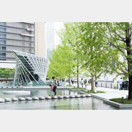 水音がなんとも涼やか