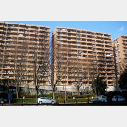 都内のニュータウンはどこも高齢化問題を抱えている（Ｃ）日刊ゲンダイ