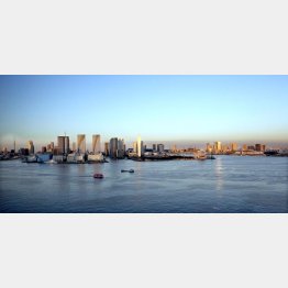 東京オリンピック選手村建設地の晴海地区（Ｃ）日刊ゲンダイ