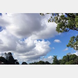 残暑が厳しくなりそう（Ｃ）日刊ゲンダイ