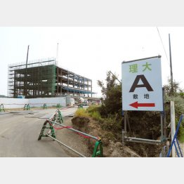 水増しがあったら補助金サギの可能性（Ｃ）日刊ゲンダイ