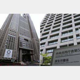 複数の法規制は混乱を招くだけ（Ｃ）日刊ゲンダイ