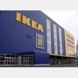 家具流通大手のイケア（Ｃ）日刊ゲンダイ
