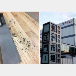 備品の木製部分に生えたカビが目立つ（提供写真）