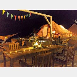 ゴージャス～！（Ｃ）日刊ゲンダイ