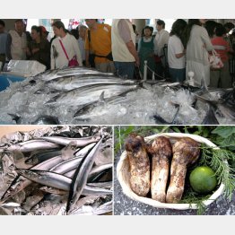 長雨の影響で“秋の味覚”に異変アリ／（Ｃ）日刊ゲンダイ