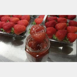 苺の粒々感を残したコンフィチュール（Ｃ）日刊ゲンダイ