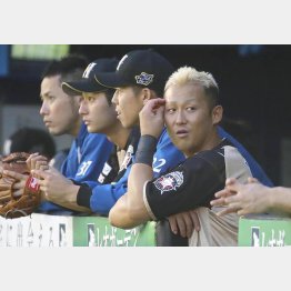 大阪の街が合う風体（Ｃ）日刊ゲンダイ