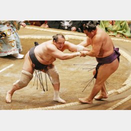 両ヒザのサポーターが痛々しい（Ｃ）日刊ゲンダイ