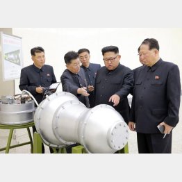 輸出の可能性も（朝鮮通信＝共同）