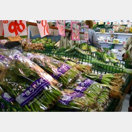 写真はイメージ（Ｃ）日刊ゲンダイ