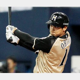 存在が“規格外”／（Ｃ）日刊ゲンダイ