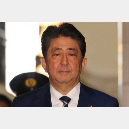 独裁政治に突っ走る（Ｃ）日刊ゲンダイ