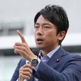 農林中央金庫を批判した進次郎氏（Ｃ）日刊ゲンダイ