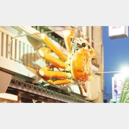 寒くなるとカニ料理が人気に（写真はイメージ）／（Ｃ）日刊ゲンダイ