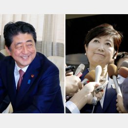 不毛な選択（Ｃ）日刊ゲンダイ