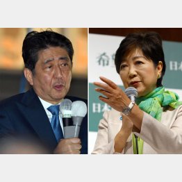 同じ穴のムジナ（Ｃ）日刊ゲンダイ