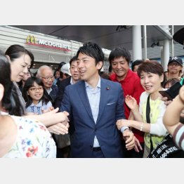 １１区の小泉進次郎氏（Ｃ）日刊ゲンダイ