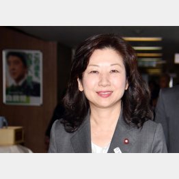 １区の野田聖子総務相（Ｃ）日刊ゲンダイ