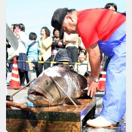 クエはナタとトンカチで解体（提供写真）