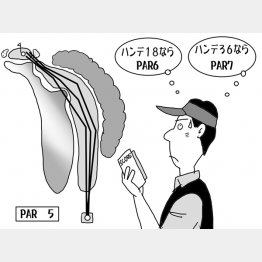 イラスト・渡辺隆司