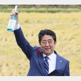 まだ分かっていない（Ｃ）日刊ゲンダイ