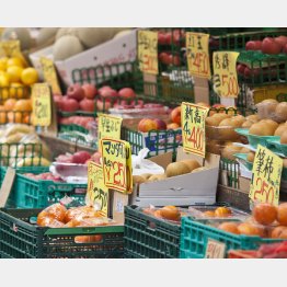 女房元気で留守がいい！（写真はイメージ）／（Ｃ）日刊ゲンダイ