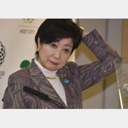 さすがの小池代表も弱気に（Ｃ）日刊ゲンダイ