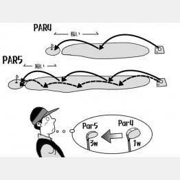 イラスト・渡辺隆司