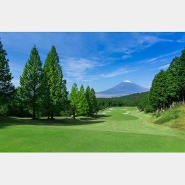  レンブランドゴルフ倶楽部 御殿場（Ｃ）日刊ゲンダイ