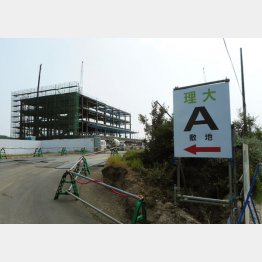 問題はまったく解明されていない（Ｃ）日刊ゲンダイ