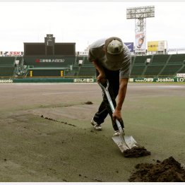 生半可では務まらない（Ｃ）共同通信社