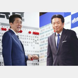 わずかな光明は立憲の躍進だけ（Ｃ）日刊ゲンダイ