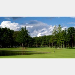 天然芝の上で実戦練習（ＨＰから）