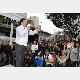 草の根を広げろ（Ｃ）日刊ゲンダイ