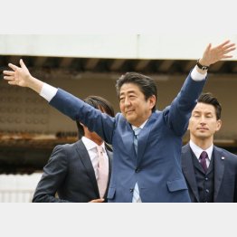 すべてがアベ忖度ありき（Ｃ）日刊ゲンダイ