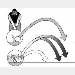 イラスト・渡辺隆司