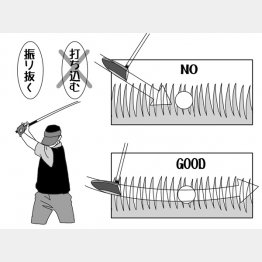 イラスト・渡辺隆司