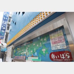 白いばら（Ｃ）日刊ゲンダイ