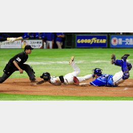 クロスプレーはさらにスリリングに（Ｃ）日刊ゲンダイ