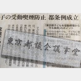 公募意見の公開も参考人招致もなし（Ｃ）日刊ゲンダイ