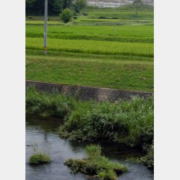 写真はイメージ（Ｃ）日刊ゲンダイ