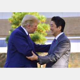 尻尾を振りまくり（代表撮影・JMPA）