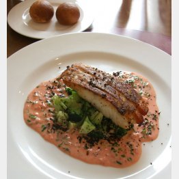 湯浅醤油の「勢粋梅」をソースに用いた真鯛料理／（Ｃ）日刊ゲンダイ