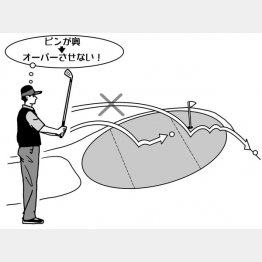 イラスト・渡辺隆司