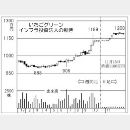 いちごグリーンインフラ投資法人（Ｃ）日刊ゲンダイ