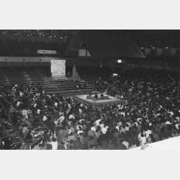 蔵前国技館で行われた第一回「将棋の日」イベント（提供写真）