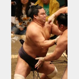 妙義龍泰成（Ｃ）日刊ゲンダイ