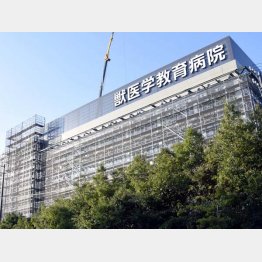 本当に大丈夫なのか（Ｃ）共同通信社